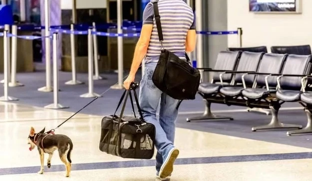 Pet Policies for Each Airline (2025 List) Pet Policies for Each Airline (2025 List)